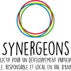 Synergeons-logo_RGB_light.jpg